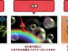 photos_together_pikmin-2